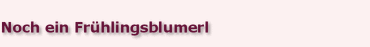 Noch ein Fr�hlingsblumerl